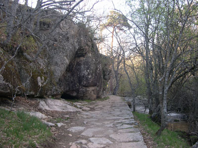 Rutas Guiadas Valsain