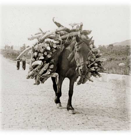 Caballería de gabarreros 