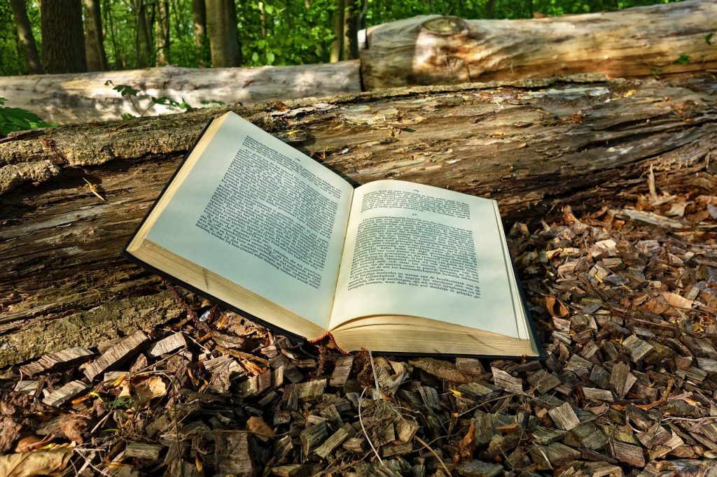 Paseos didacticos literatura y naturaleza