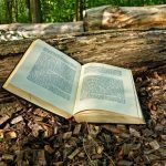 Paseos didacticos literatura y naturaleza