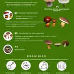 normas recoleccion de setas-infografia